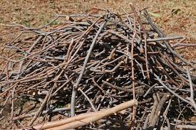 pile of sticks